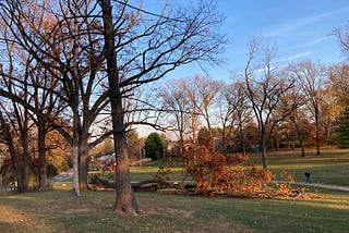 Fall-Winter 2024 Reading List