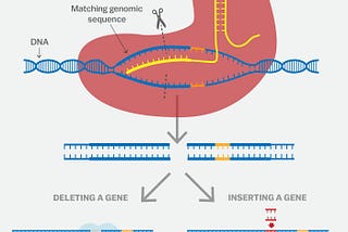 Using Gene Editing to Resurrect Species