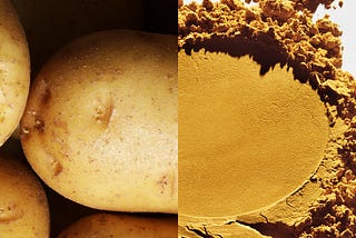 Discovery of the next potato — Solein®