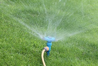 Best Time To Water Grass | Lawn tips — Gardener Dude
