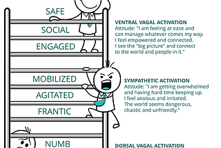 What Is the PolyVagal Theory?