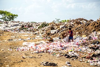 "Where Can I Find Zero-Waste Tofu?" and Other Questions that Haunt Me