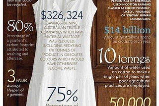 Fashion Sustainability in a Sharing Economy