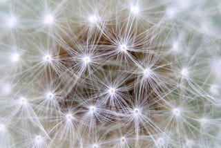 From Story To Sale: Growing a Business with Connections