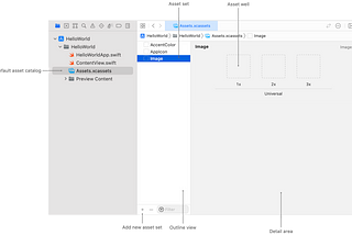 Asset Catalogs from XCode15