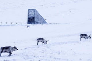 This Arctic pantry may help you to survive the coming cropocalypse