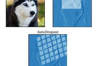 AutoDropout: Learning Dropout Patterns to Regularize Deep Networks (paper review)