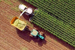 Brazilian agribusiness and the translation industry