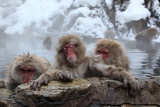 Winter special: Hot springs and saunas across cultures