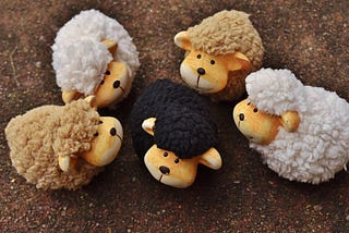 Baa, Baa, Black Sheep.