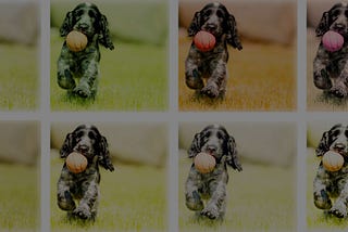 How to Use Data Augmentation to 10x Your Image Datasets