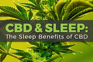 <h1 style=”clear: both;” id=”content-section-0">The smart Trick of Sleep Problems — Project Cbd…