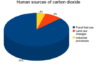 50 Easy Ways to Reduce your Carbon Footprint