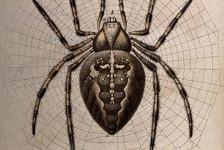 Spiders Blessing