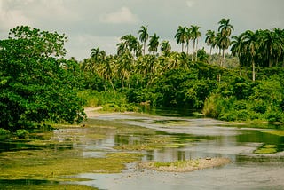 Disfrute de la experiencia de contemplar la vida alrededor de los ríos en Baracoa