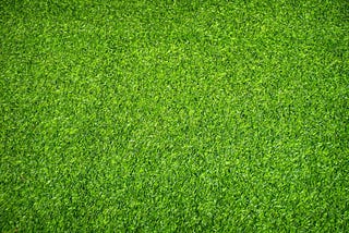 How to Take Care of Artificial Grass to Achieve a Stunning Look For Your Garden