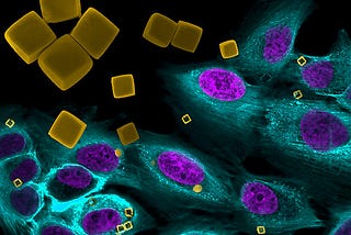 Nanomedicines and Bacteriophages