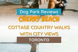 Cherry Beach Dog Park — Cottage Country Walks with City Views