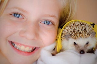 Pet Rescue Stories. Filling a HedgeHog’s Bucketlist. The Story of Bryce.