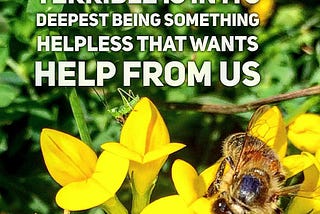 Perhaps everything terrible is in its deepest being something helpless that wants help from us.