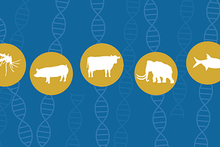 Navigating the Ethical Landscape of Biotechnological Animal Engineering and Experimentation