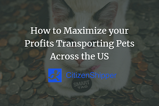 How to Maximize your Profits Transporting Pets Across the US