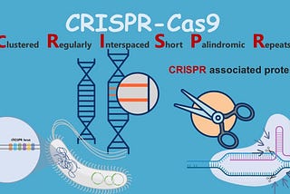 CRISPR: A Geneticist dream