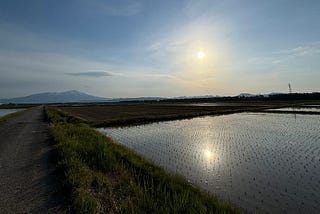 The Good, The Bad and the Lizard People of Sakata.