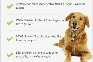 Your Dog Is Talking To You — Are You Listening?