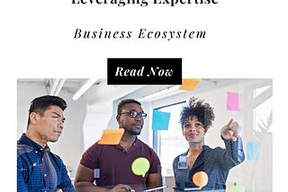 Building an Effective Business Ecosystem: The Power of Outsourcing and Leveraging Expertise