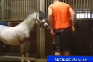 Michael Hanley Horse Video Mr Hands The Full Viral Twitter, Reddit