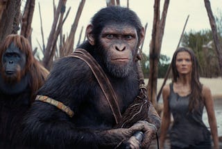 ‘Kingdom of the Planet of the Apes’ Box Office Breakdown And What Could Be Next? 🍿💰