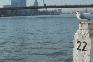 22 Marketers Under 22: How They Got Started In Marketing — getButterfly