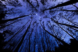 Far Greater, the Urge