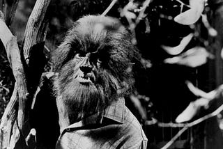 Werewolves Explained: Is Lycanthropy a Blessing or a Curse?