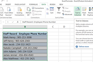 Text to column function in Microsoft Excel