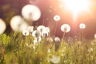 6 Mental Techniques for Appreciating Life