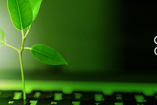 Green Coding Guidelines — Towards Sustainable Software