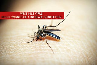 What is West Nile Virus? Symptoms, Causes & Treatment: All You Need To To Know.