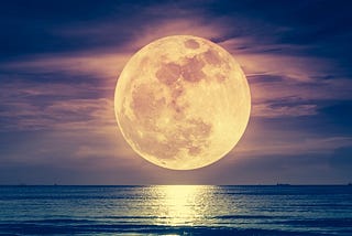 Fly Me to the Moon