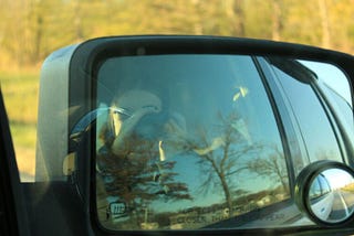 Organisations need split rear mirrors