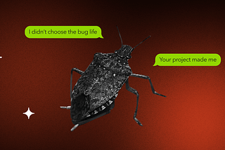 What Should I Do If There Are Too Many Bugs In My Software Project?