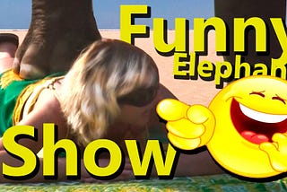 Funny Elephant Show (ELEPHANT MASSAGE!) — YouTube