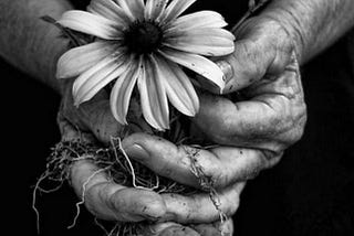 Fragility