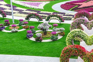 Dubai Miracle Garden | 12 Facts About Miracle Garden | Miracle Garden