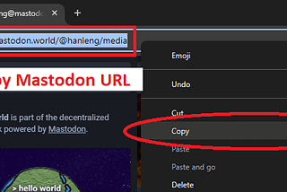 Mastodon downloader for images and videos