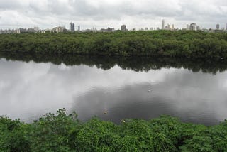 River basin flood adaptation for coastal urban slums. Mithi river basin, Dharavi slum
