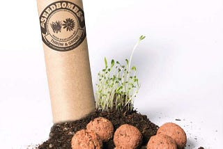 All You Need to Know About Seed Bombs
