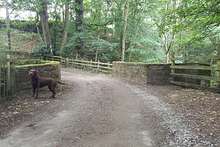 Hiking the Peak District