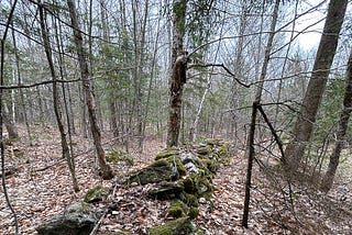 An Old Indigenous Stone Row?